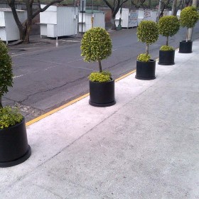 IMG-20120318-00002-3